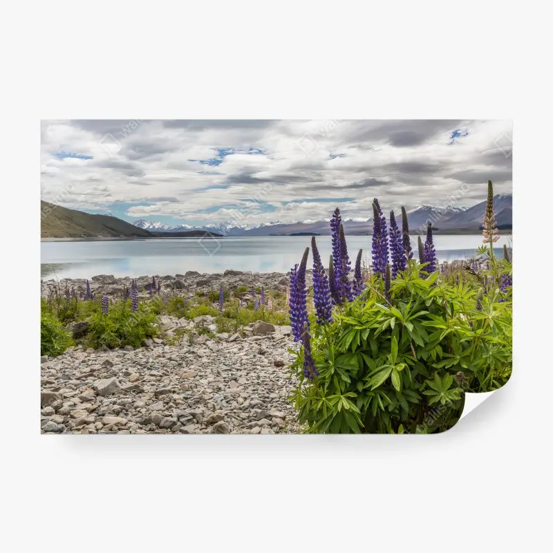 Carta da parati LAGO MONTAGNA LUPINI NATURA PAESAGGIO PER SOGGIORNO