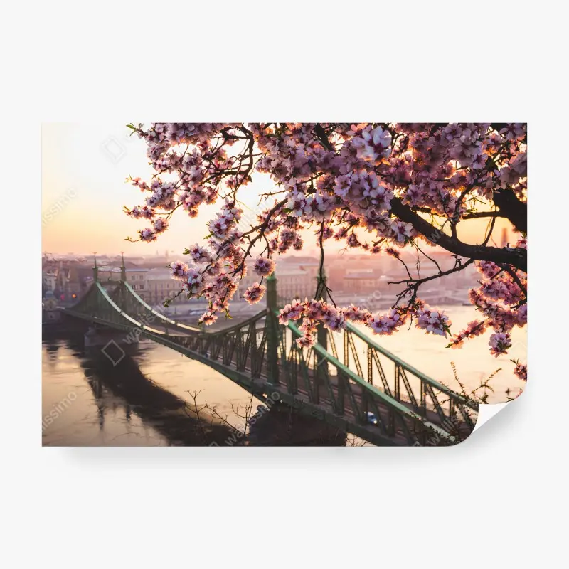 Carta da parati CILIEGIO FIORI PONTE TRAMONTO CITTÀ PER SOGGIORNO