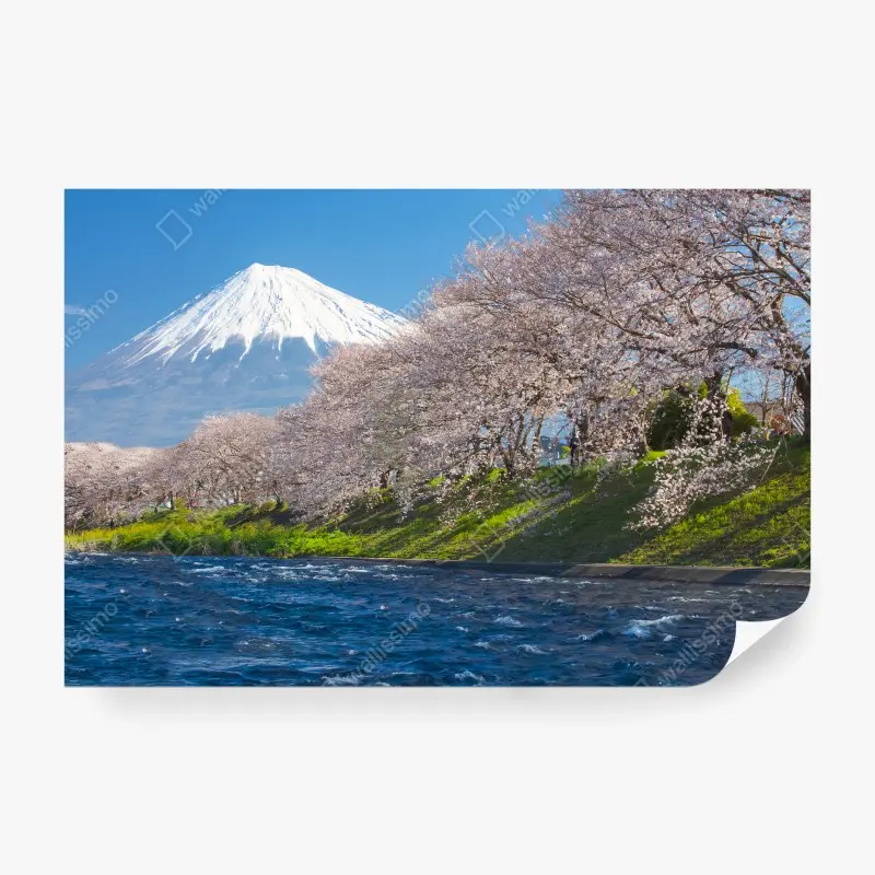 Carta da parati FUJI SAKURA GIAPPONE MONTAGNA PRIMAVERA PER SOGGIORNO