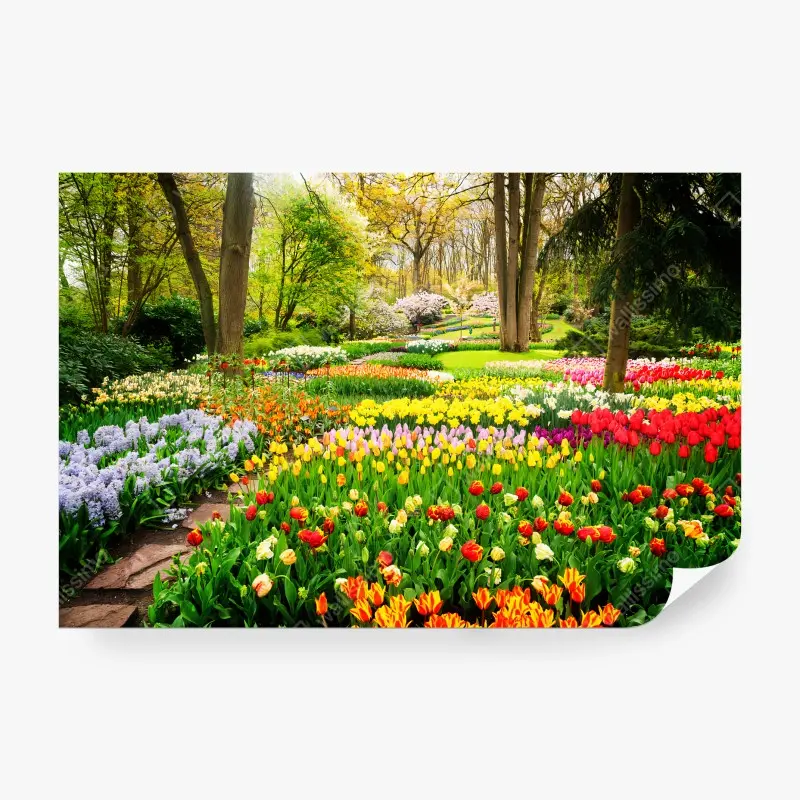 Carta da parati TULIPANI PRIMAVERA GIARDINO FIORI VIVI PER SOGGIORNO