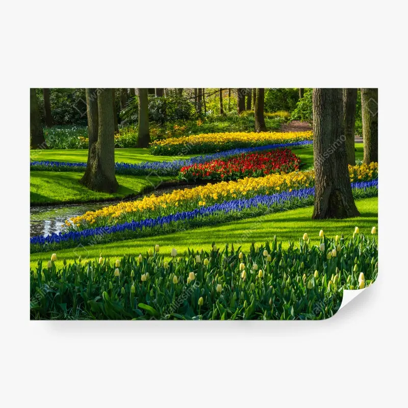 Carta da parati FIORI TULIPANI GIARDINO VERDE NATURA PER SOGGIORNO