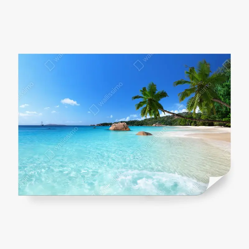 Carta da parati TROPICALE SPIAGGIA PALMA MARE PARADISO PER SOGGIORNO