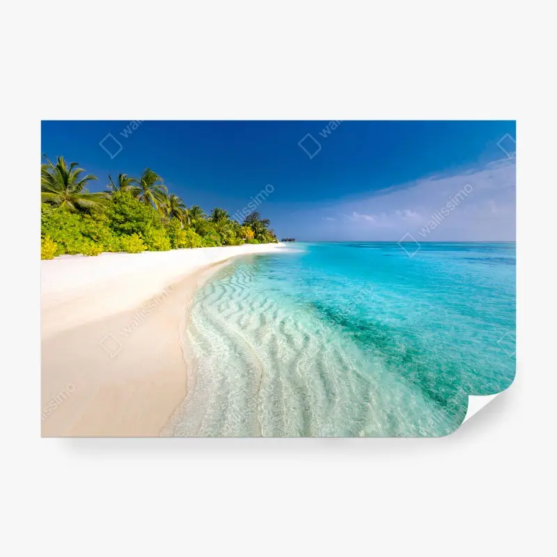Carta da parati SPIAGGIA MARE TURCHESE PALME SABBIA PER SOGGIORNO