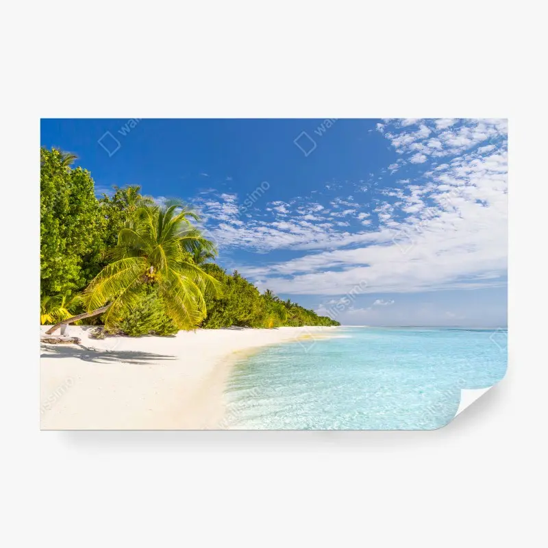 Carta da parati SPIAGGIA MARE PALMA BLU ESTATE PER IL SOGGIORNO