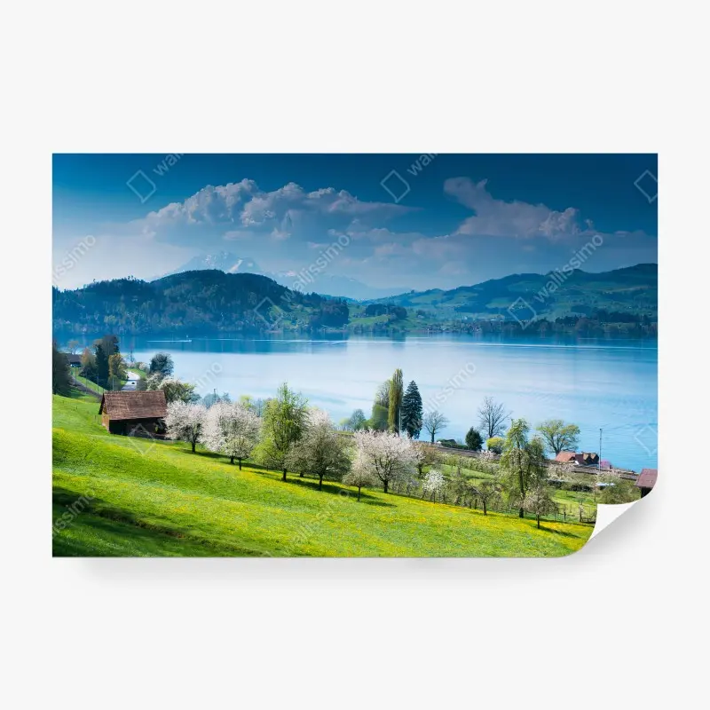 Carta da parati SVIZZERA LAGO MONTI PAESAGGIO VERDE PER SOGGIORNO