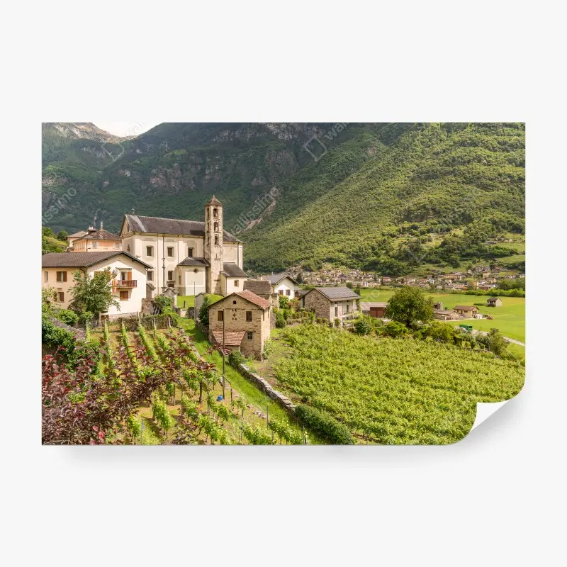 Carta da parati BORGO CHIESA COLLI VIGNA SCENA PER SOGGIORNO