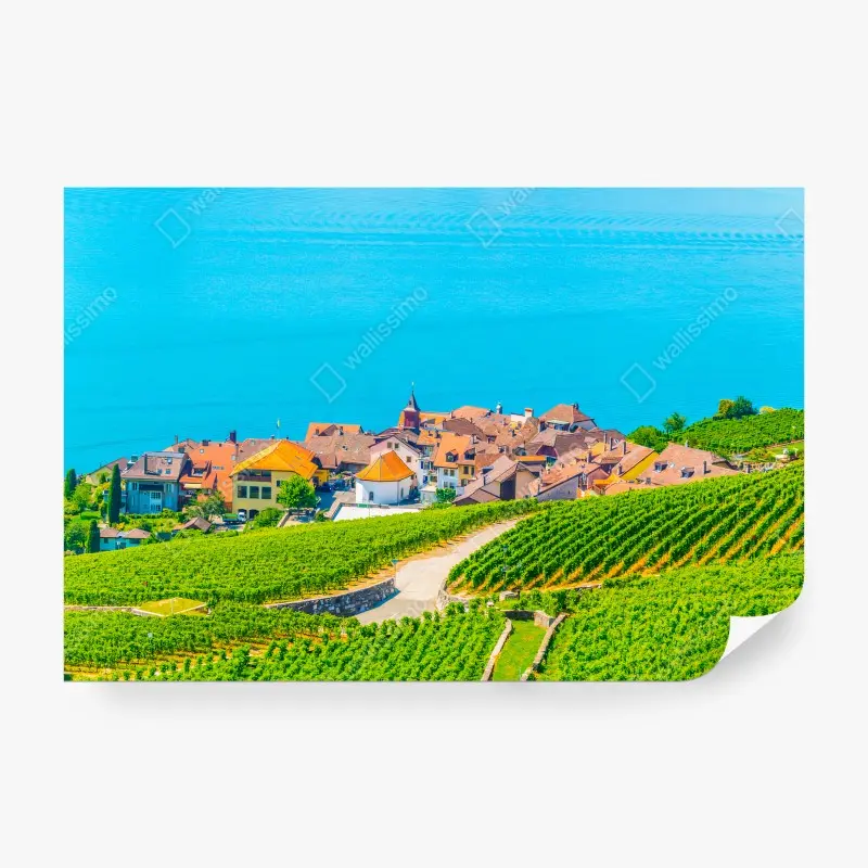 Carta da parati VIGNETO LAGO VIGNA PAESAGGIO VERDE PER SOGGIORNO