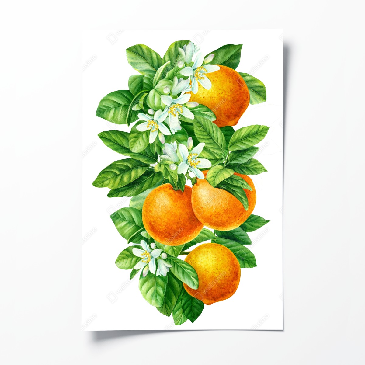 Poster ramo di arance e fiori in acquerello • Wallissimo®