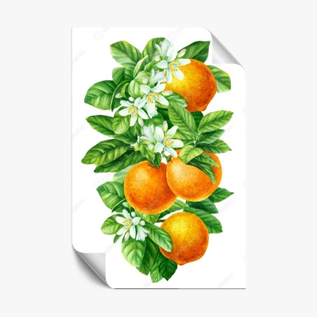 Poster ramo di arance e fiori in acquerello • Wallissimo®