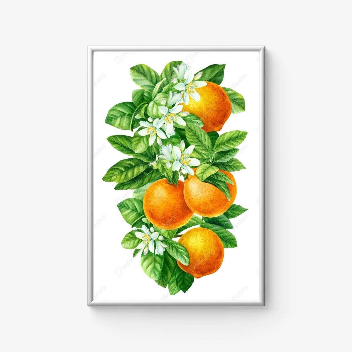 Poster ramo di arance e fiori in acquerello • Wallissimo®