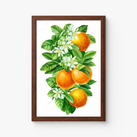 Poster ramo di arance e fiori in acquerello • Wallissimo®