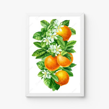 Poster ramo di arance e fiori in acquerello • Wallissimo®