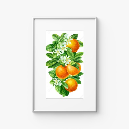 Poster ramo di arance e fiori in acquerello • Wallissimo®
