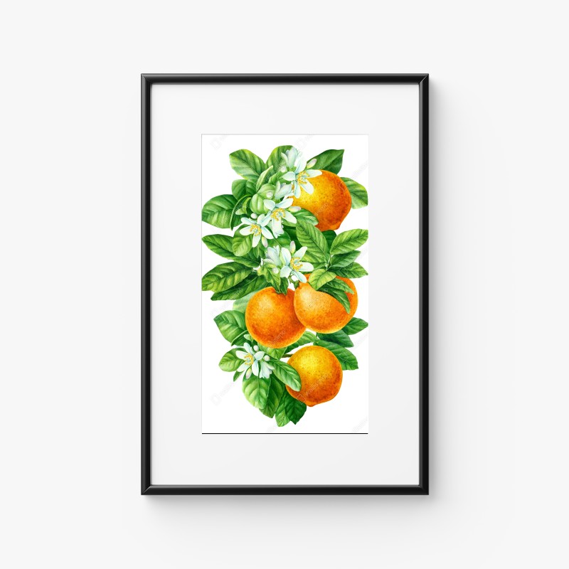 Poster ramo di arance e fiori in acquerello • Wallissimo® Poster ramo di arance e fiori in acquerello • Wallissimo®