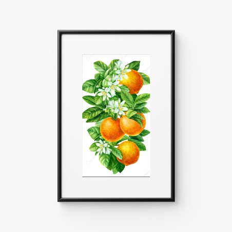 Poster ramo di arance e fiori in acquerello • Wallissimo®