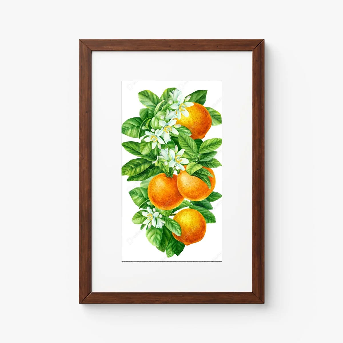 Poster ramo di arance e fiori in acquerello • Wallissimo®