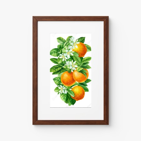 Poster ramo di arance e fiori in acquerello • Wallissimo®