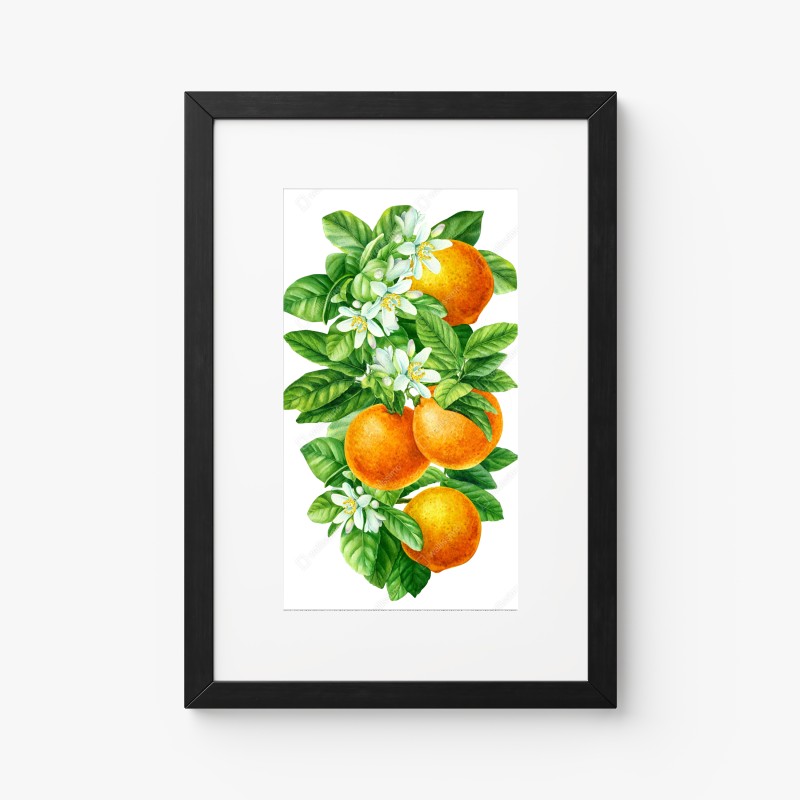 Poster ramo di arance e fiori in acquerello • Wallissimo® Poster ramo di arance e fiori in acquerello • Wallissimo®