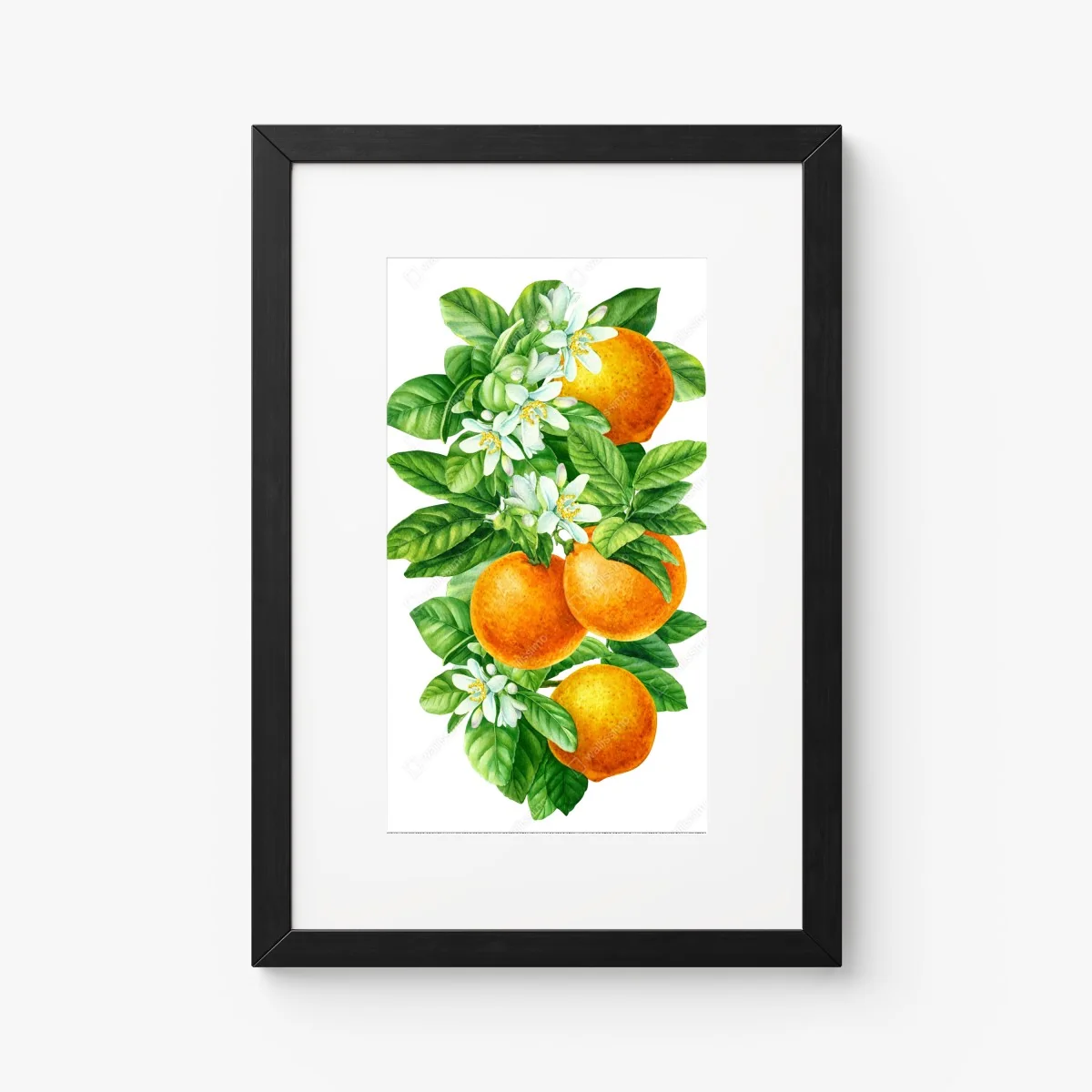 Poster ramo di arance e fiori in acquerello • Wallissimo®