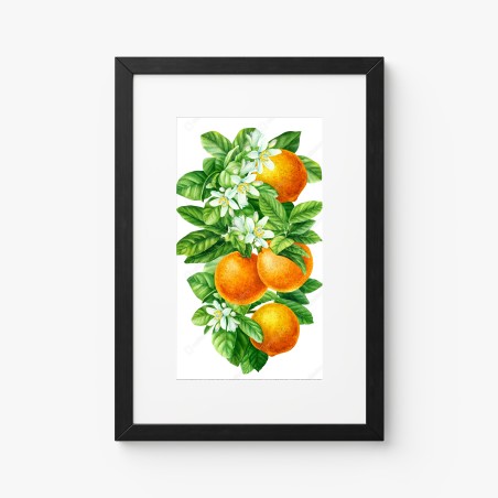 Poster ramo di arance e fiori in acquerello • Wallissimo®