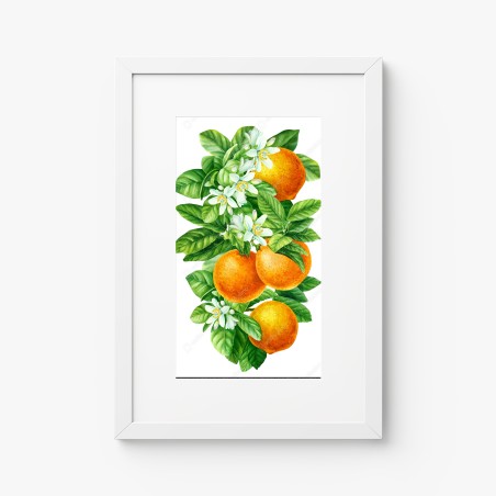 Poster ramo di arance e fiori in acquerello • Wallissimo®