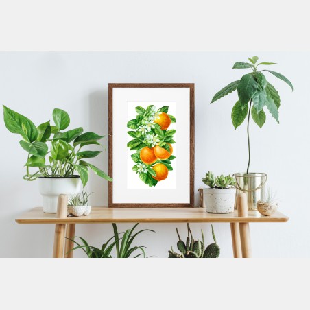 Poster ramo di arance e fiori in acquerello • Wallissimo®