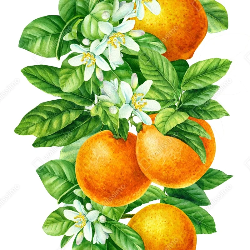 Poster ramo di arance e fiori in acquerello • Wallissimo®