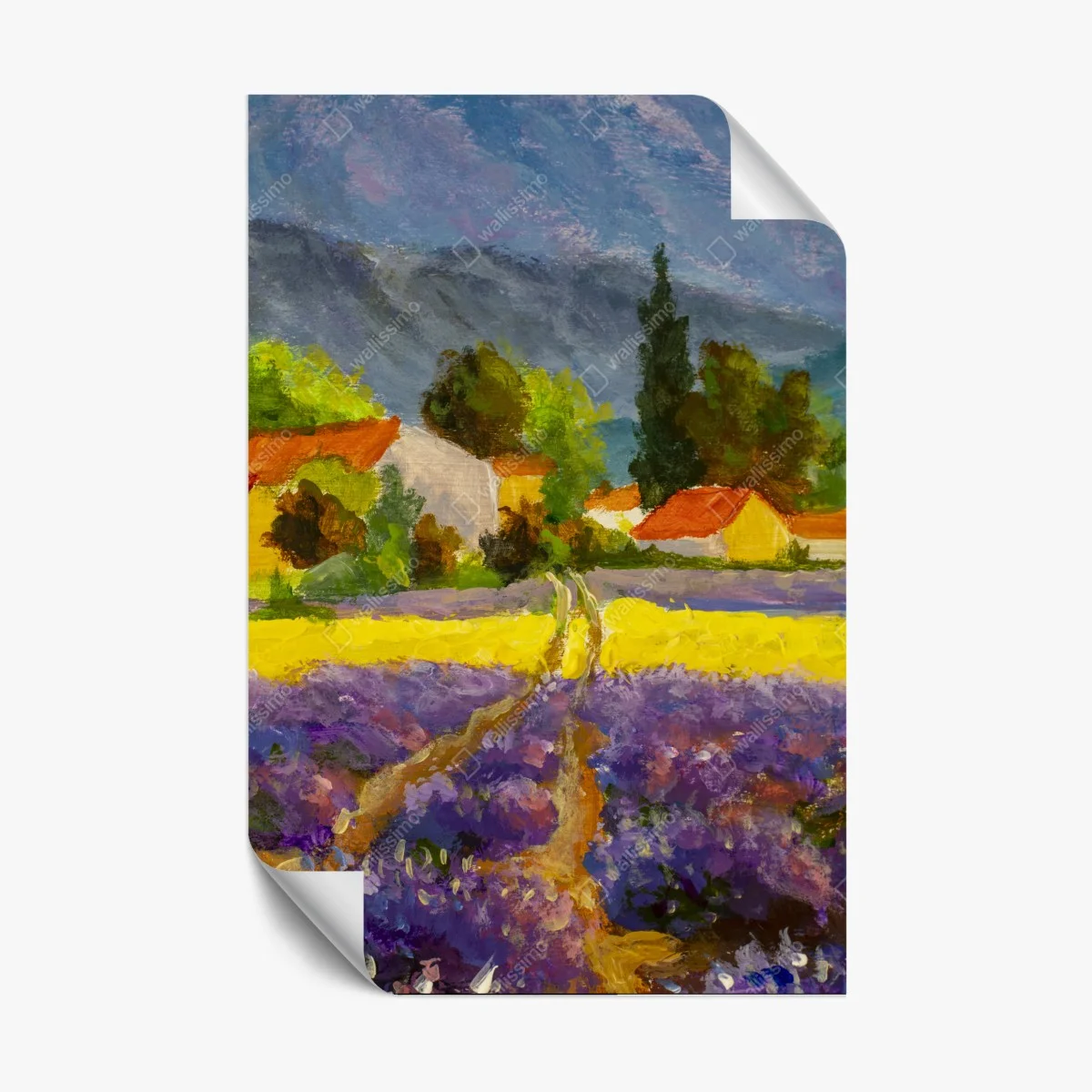 Poster tramonto sui campi di lavanda • Wallissimo® Poster tramonto sui campi di lavanda • Wallissimo®